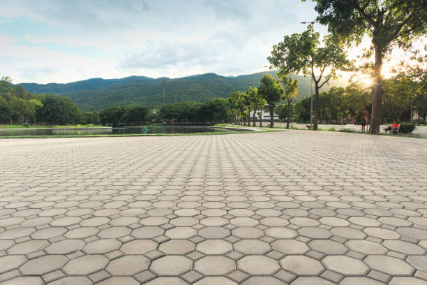 Best Decorative Driveway Pavers  in Berthoud, CO