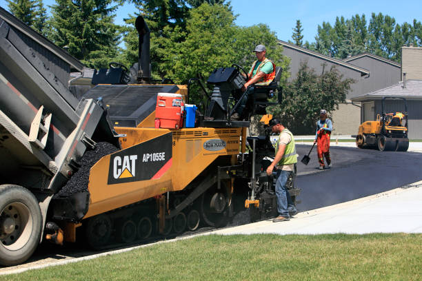 Best Professional Driveway Pavers  in Berthoud, CO