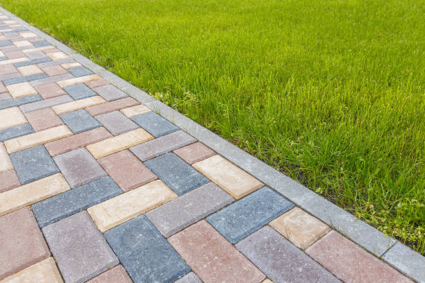 Best Affordable Driveway Paving  in Berthoud, CO